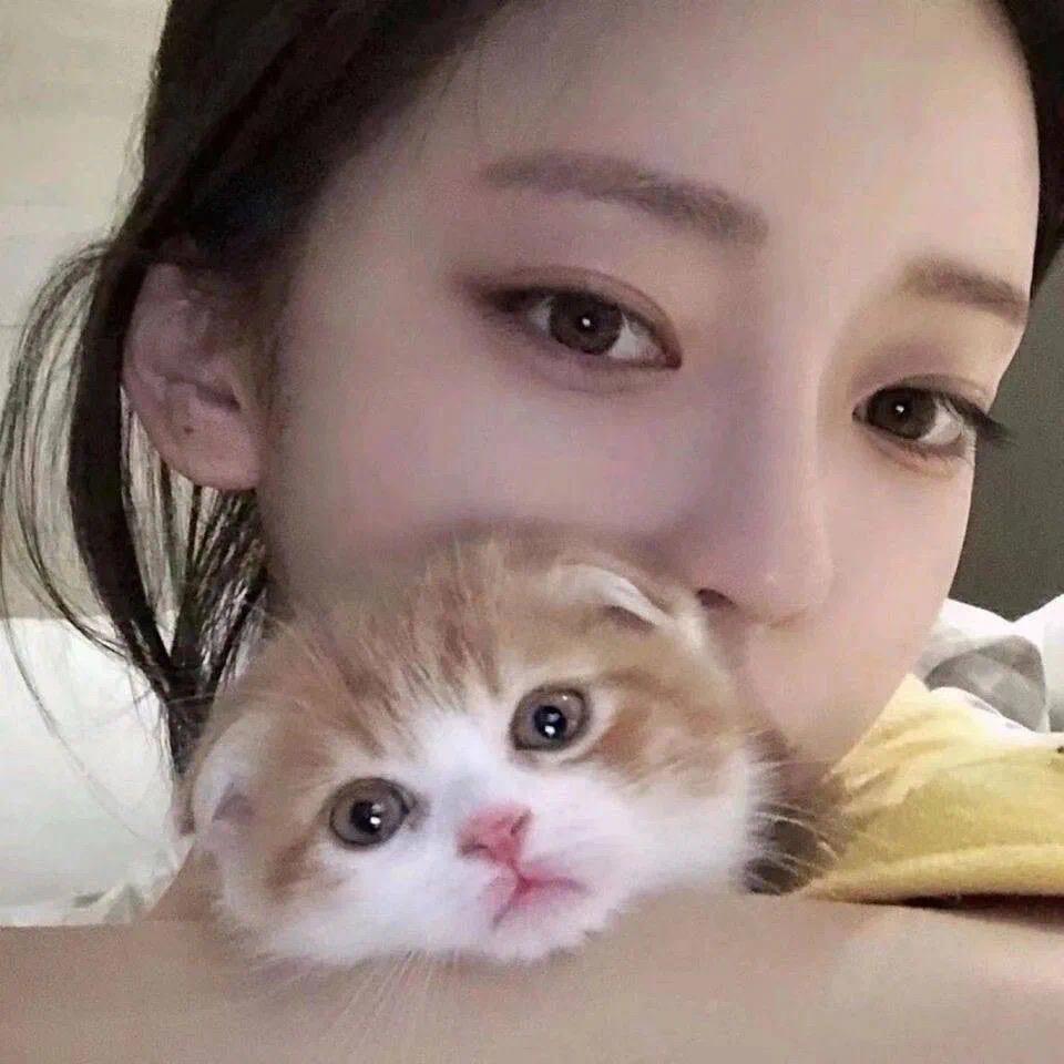 钦钦耶💛