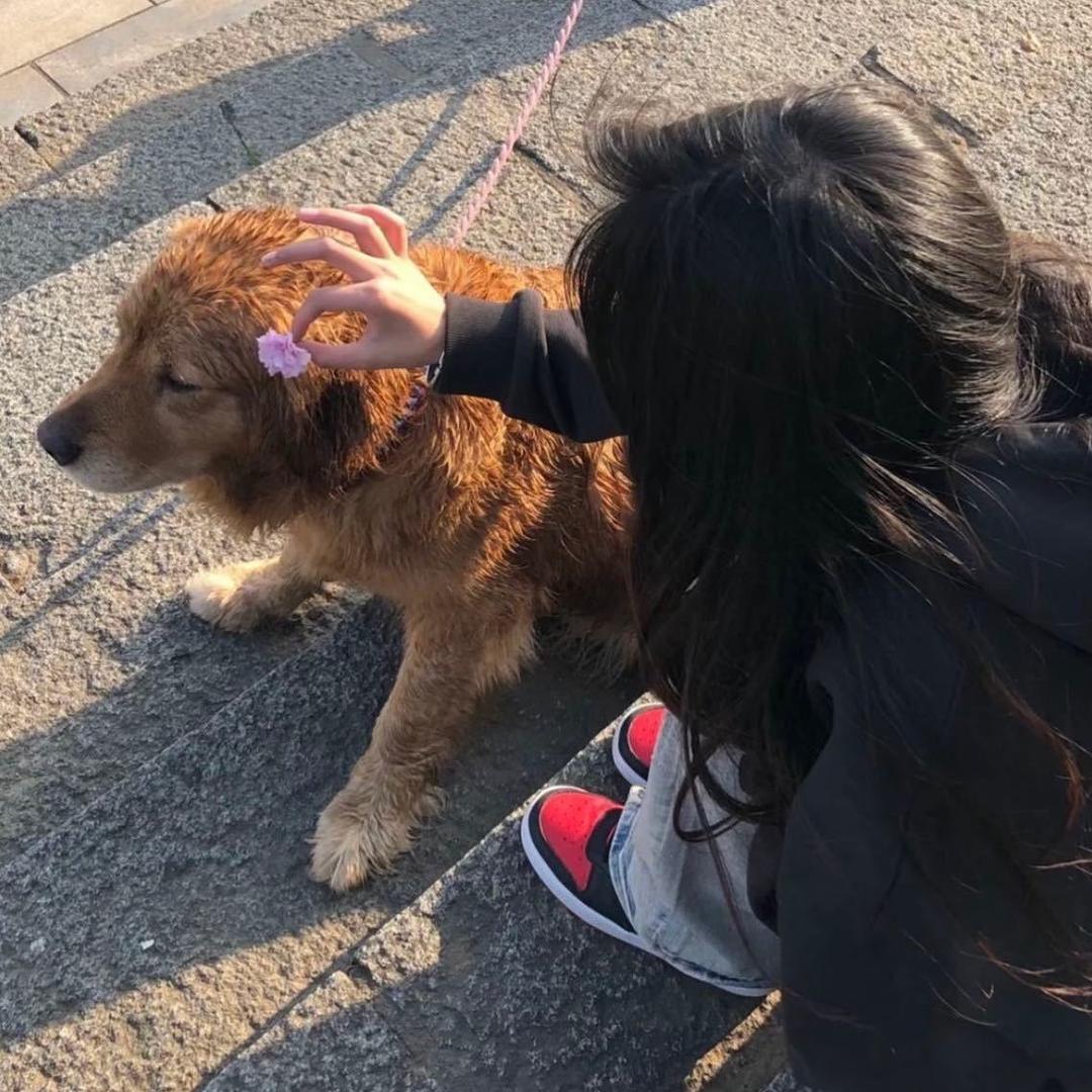 凤凤一天八杯水