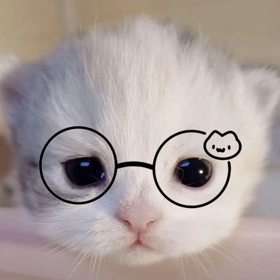 𝙮𝙪𝙞𝙞𝟳
