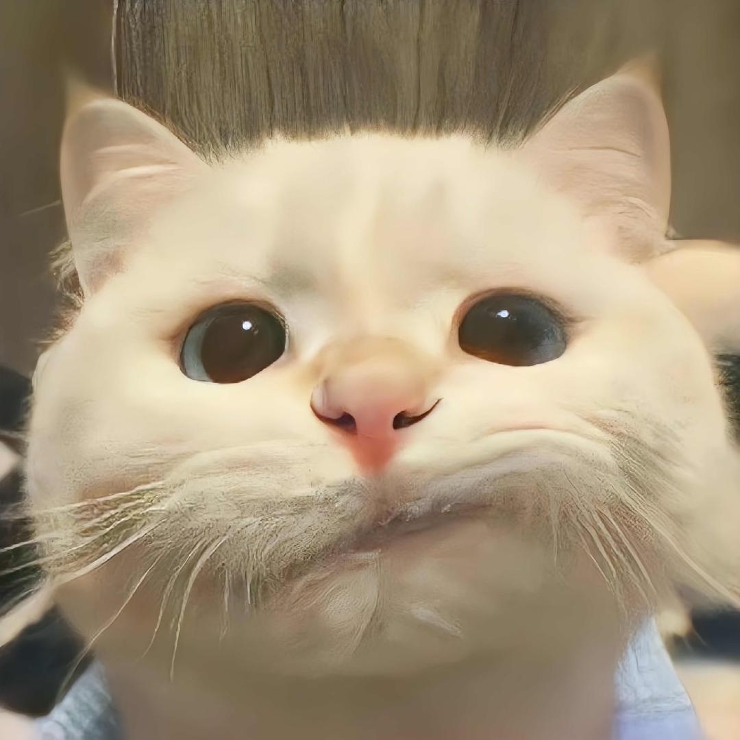 ᥫᩣ 𝙡̶̶̶𝙤̶̶̶