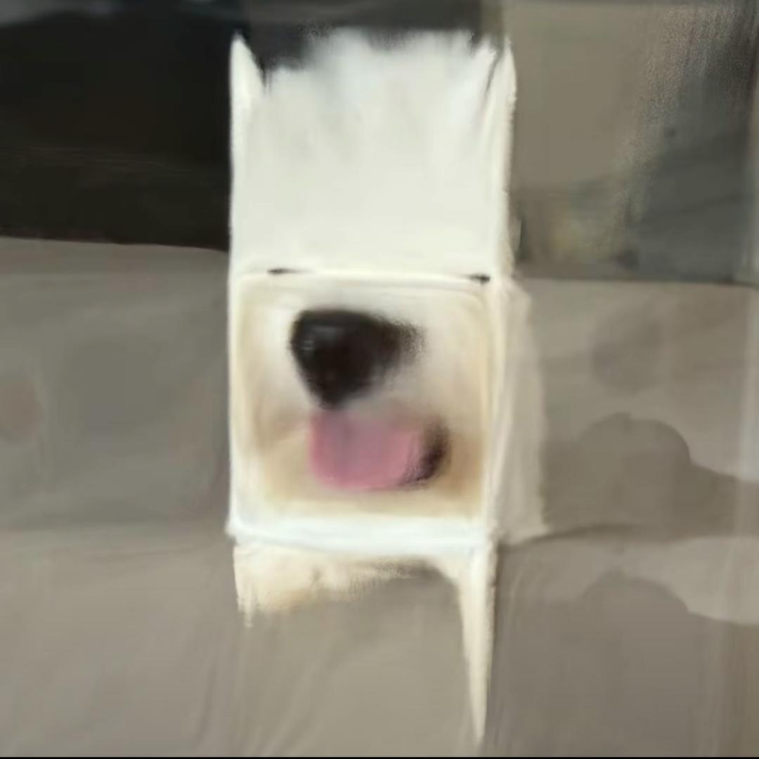 王哪跑💨