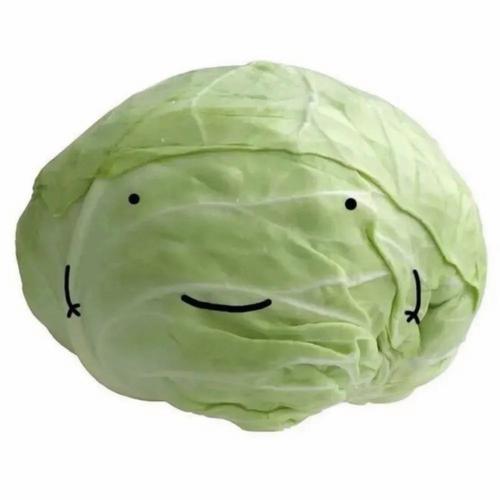 迷你菜