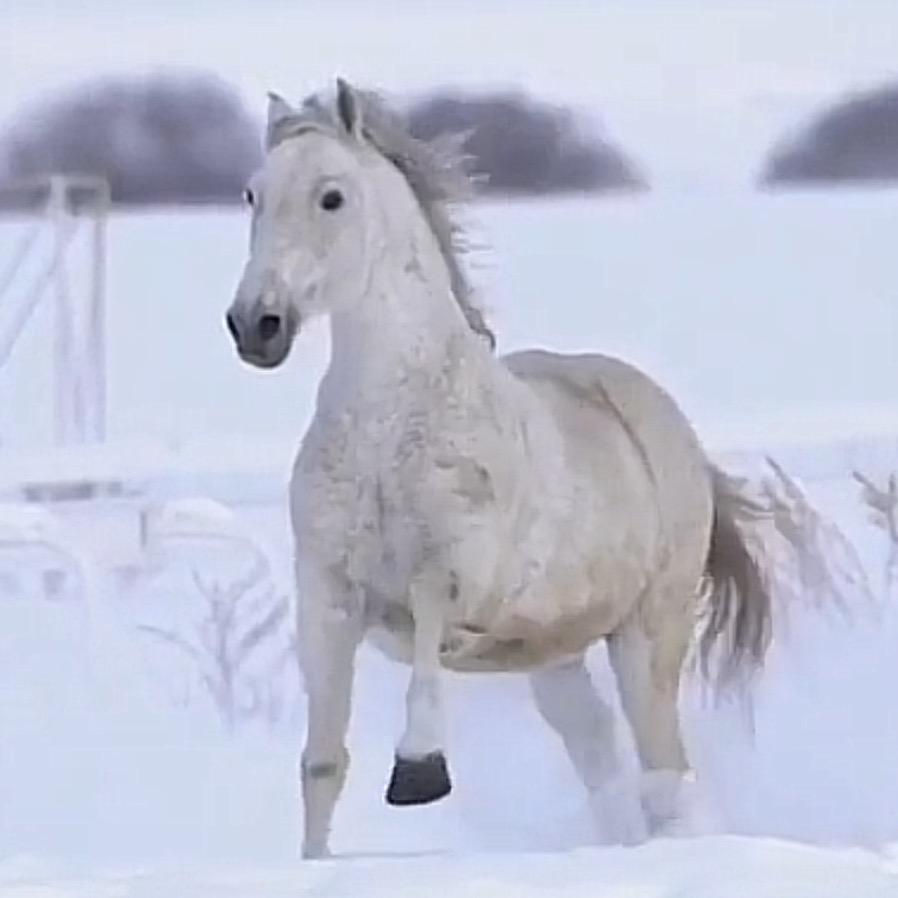 本溪水电工程  装修刘