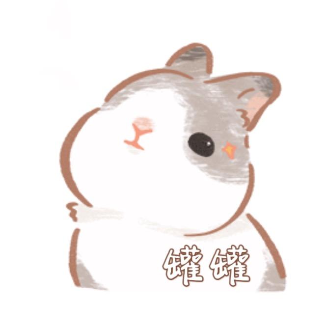 🐰罐罐🐰