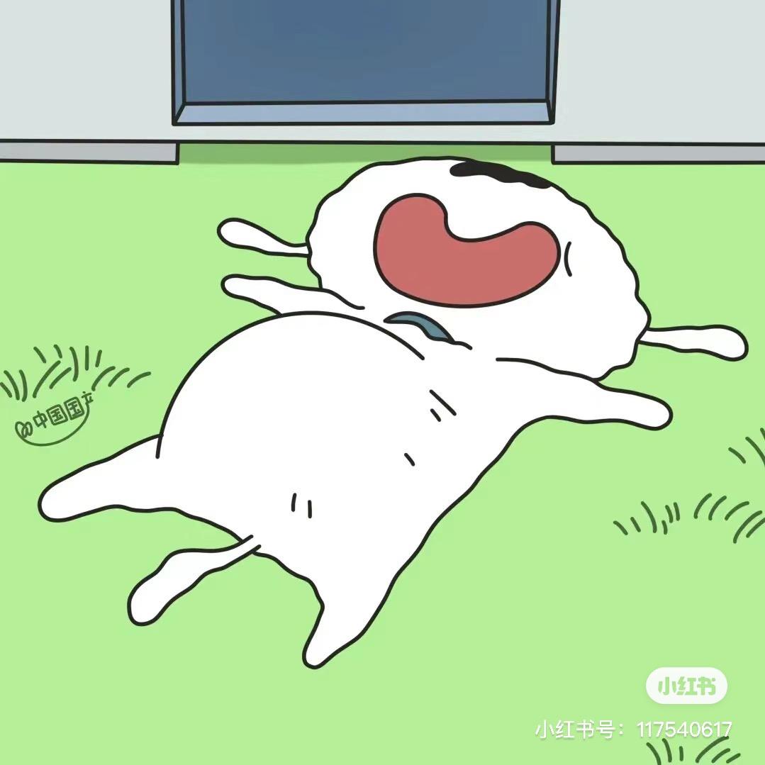 野原小白