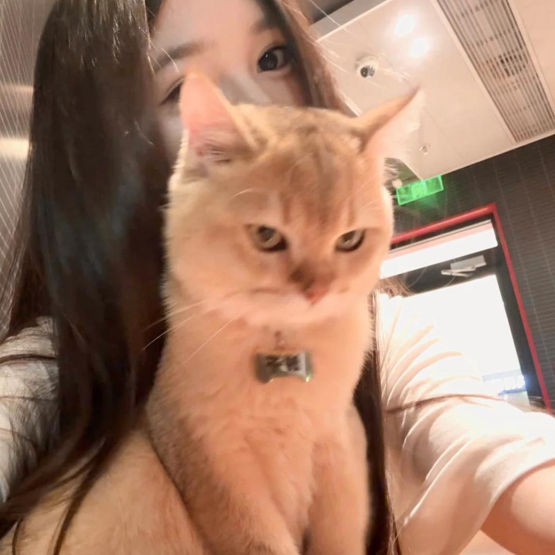 呆  呆