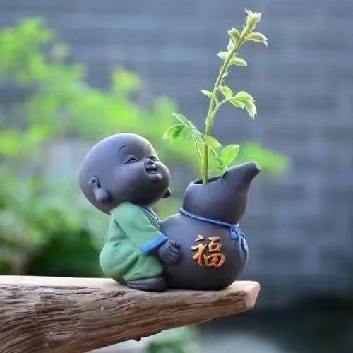 臻龙远志
