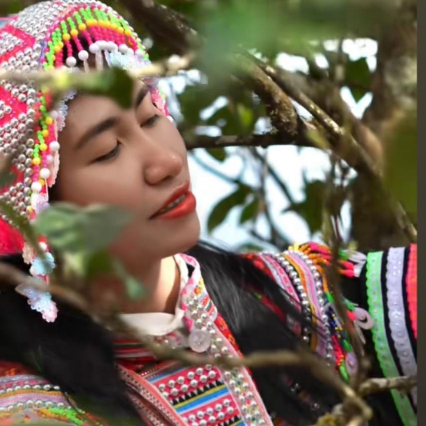 品茶静心🍃娜迫