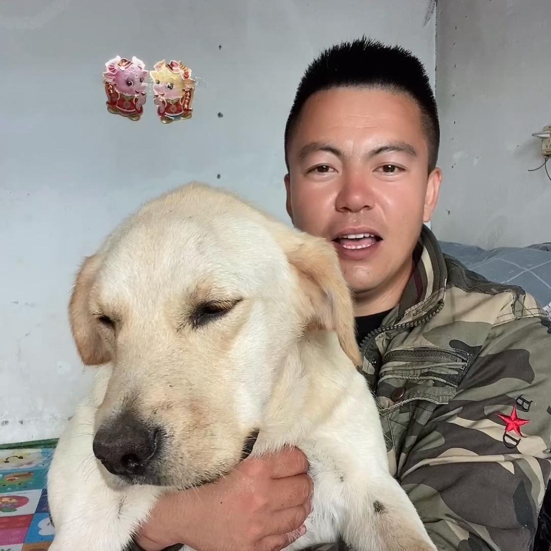 十三少的流浪狗