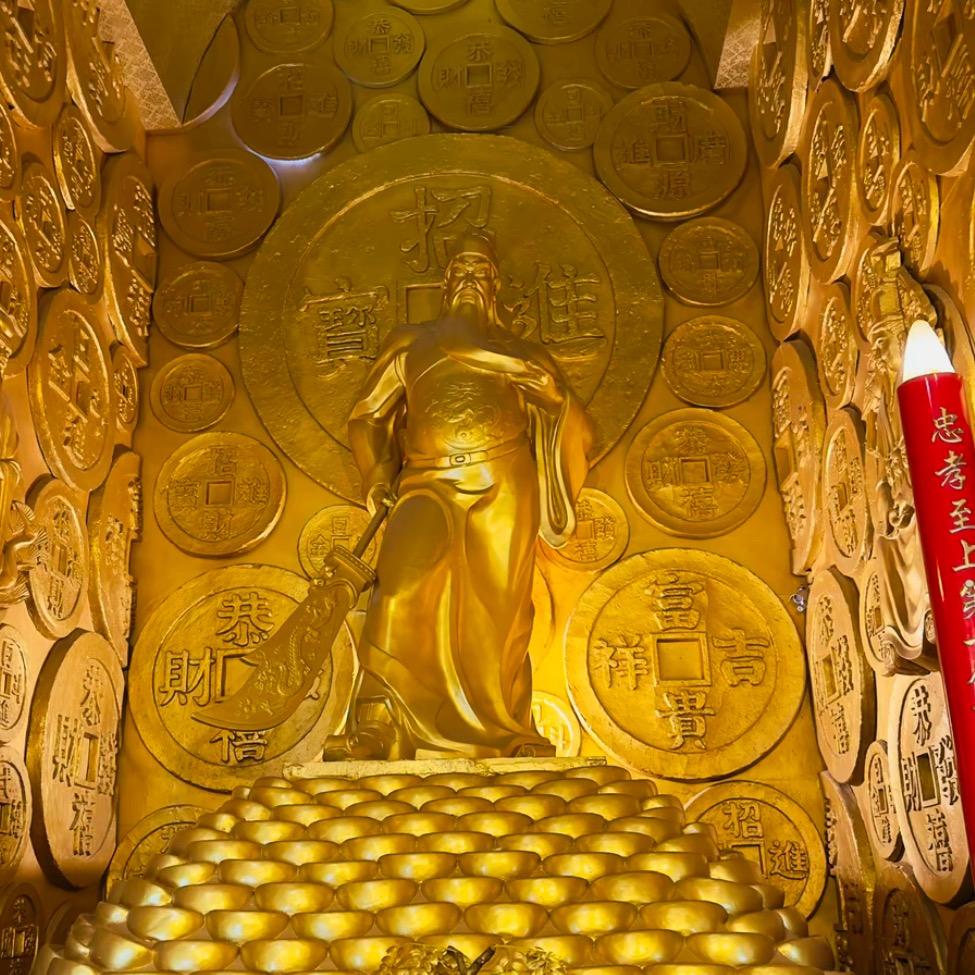 杨杨得亿