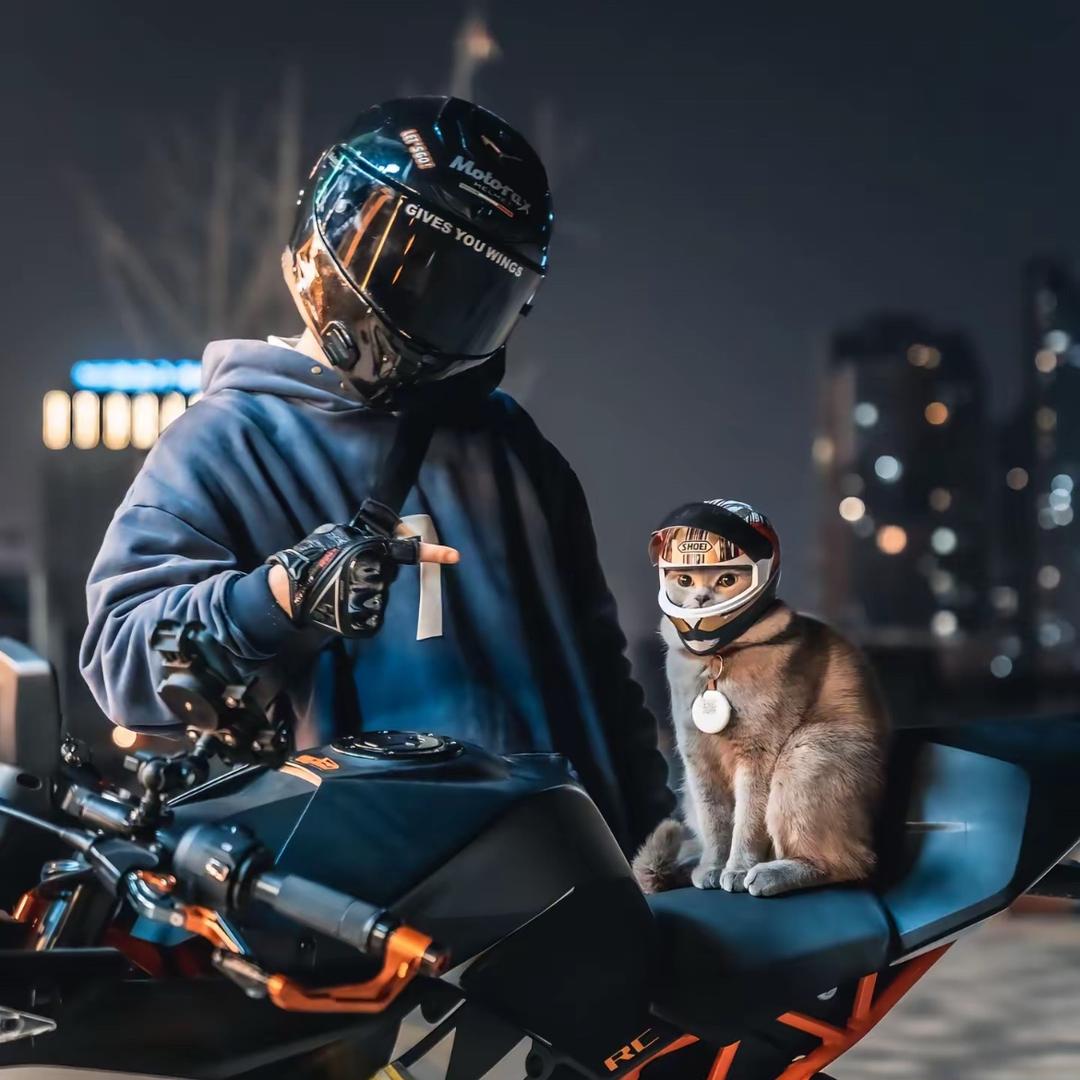 @嗯哼