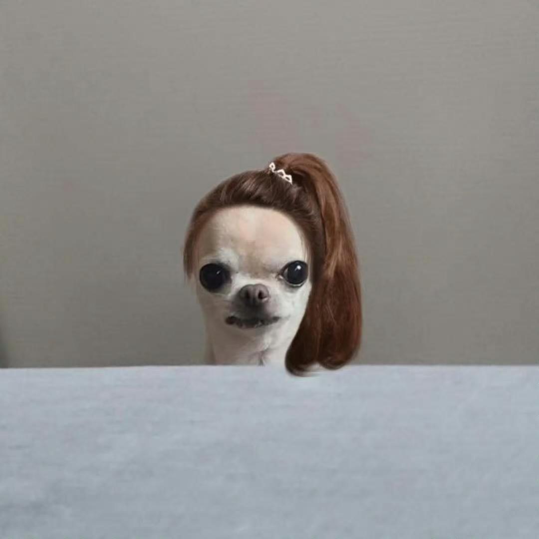 软耳朵小陈