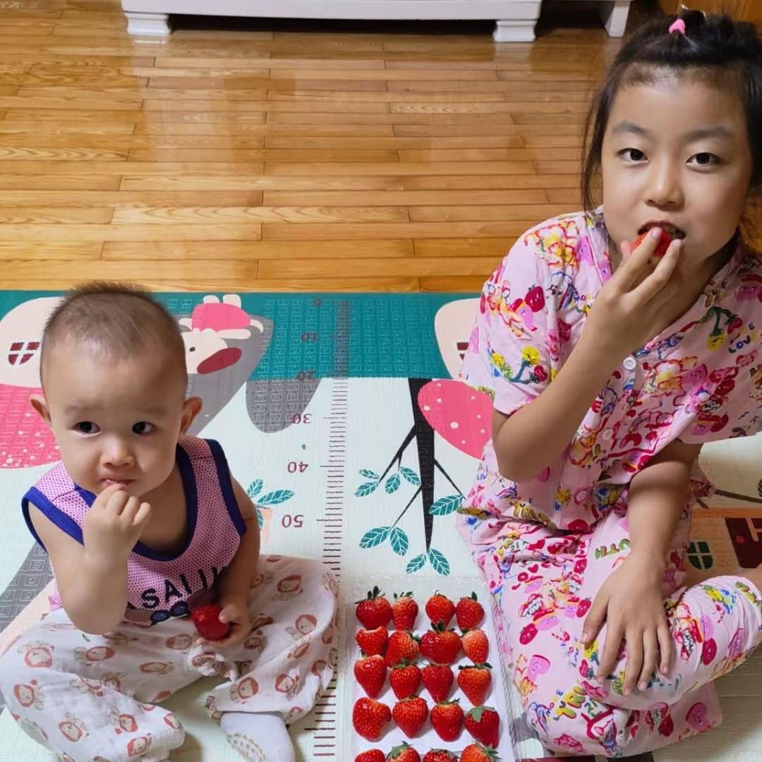 丹东九九草莓🍓