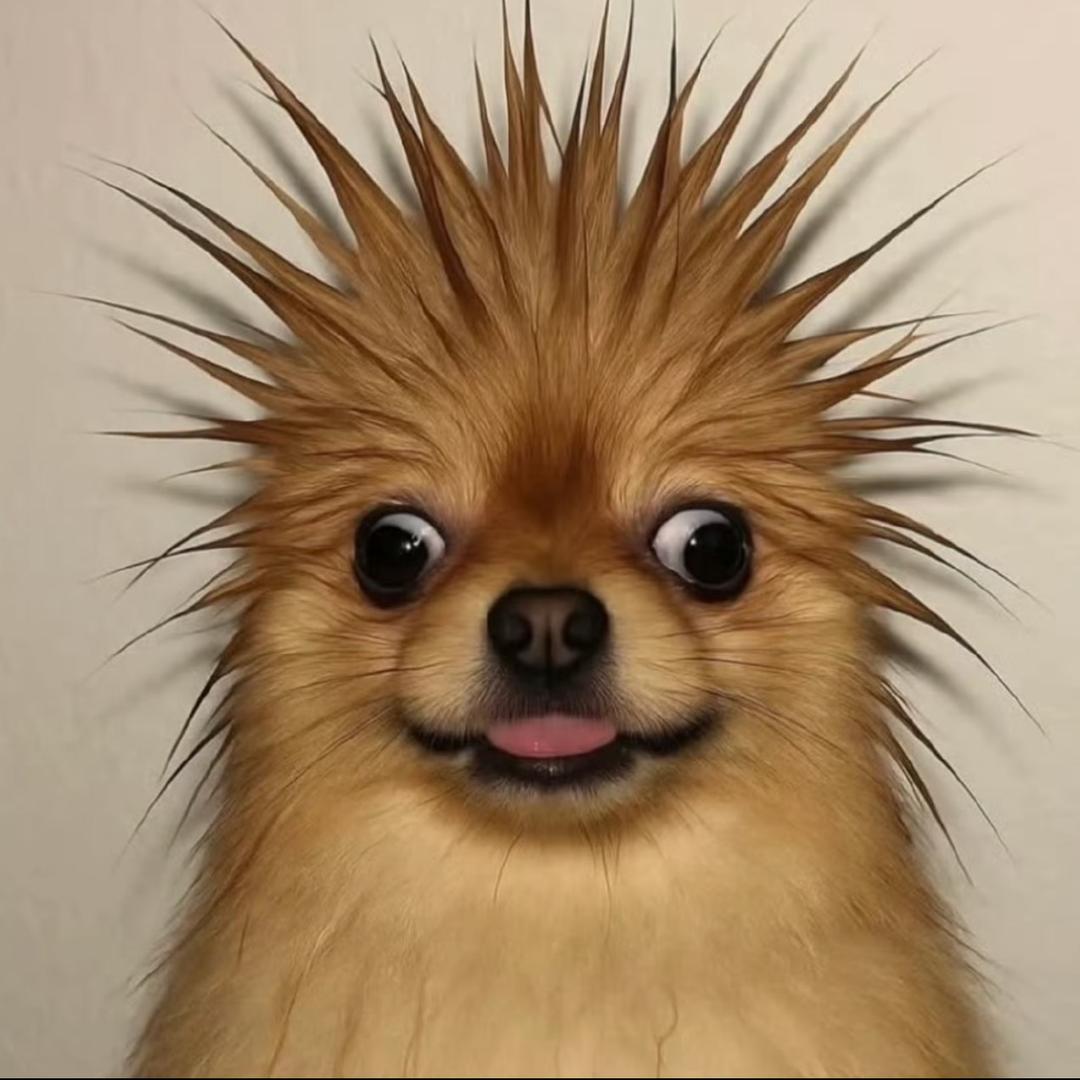 yyhhe_