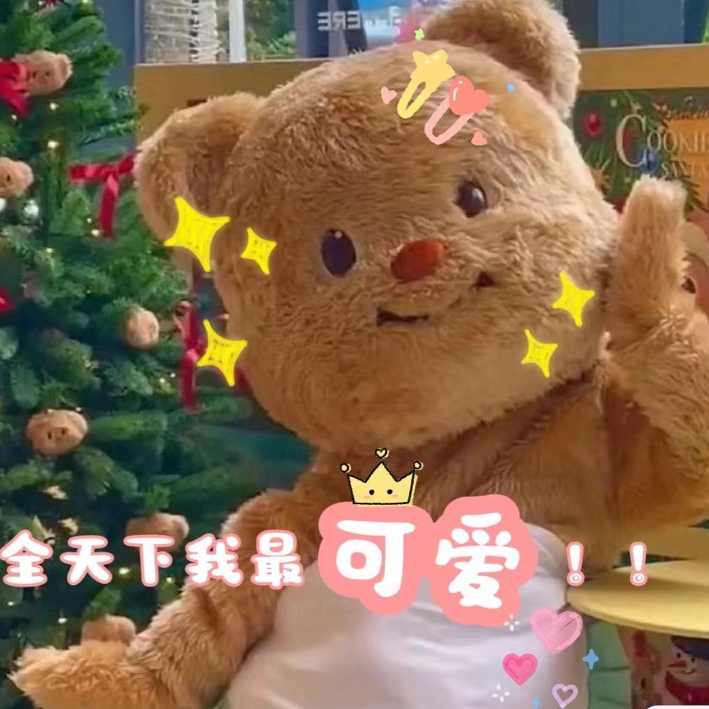 啊喵😸达人（努力版）