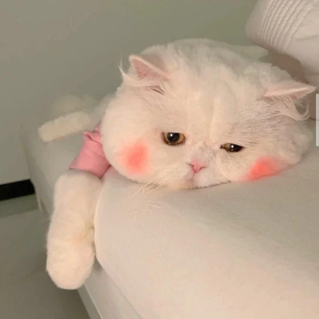 李佳诺💞