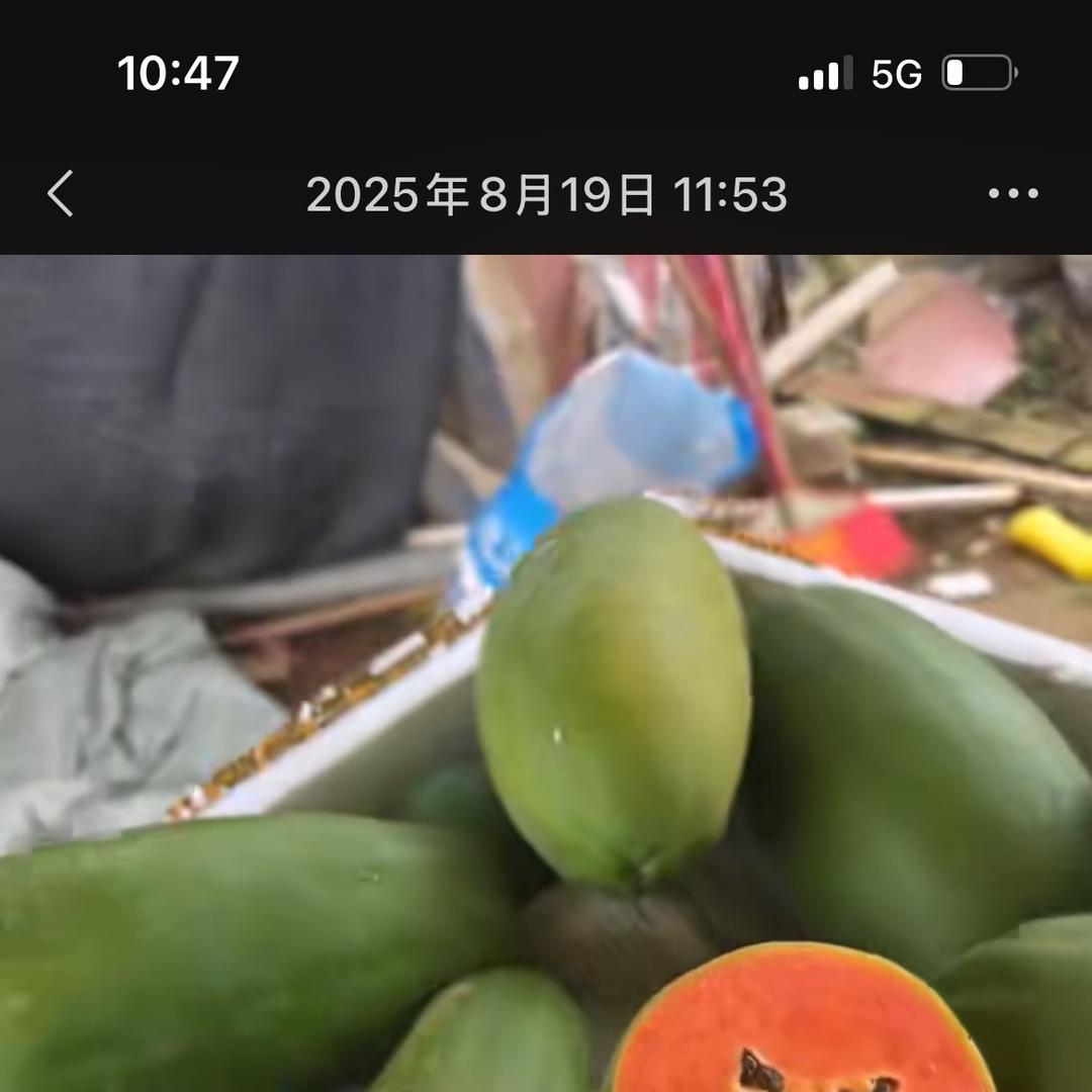 大衙果蔬实业