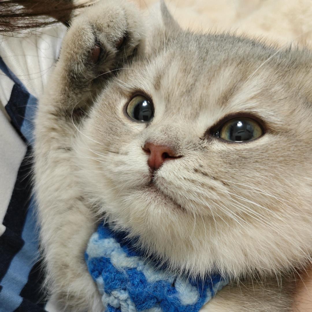 晚睡小周ฅ՞••՞ฅ