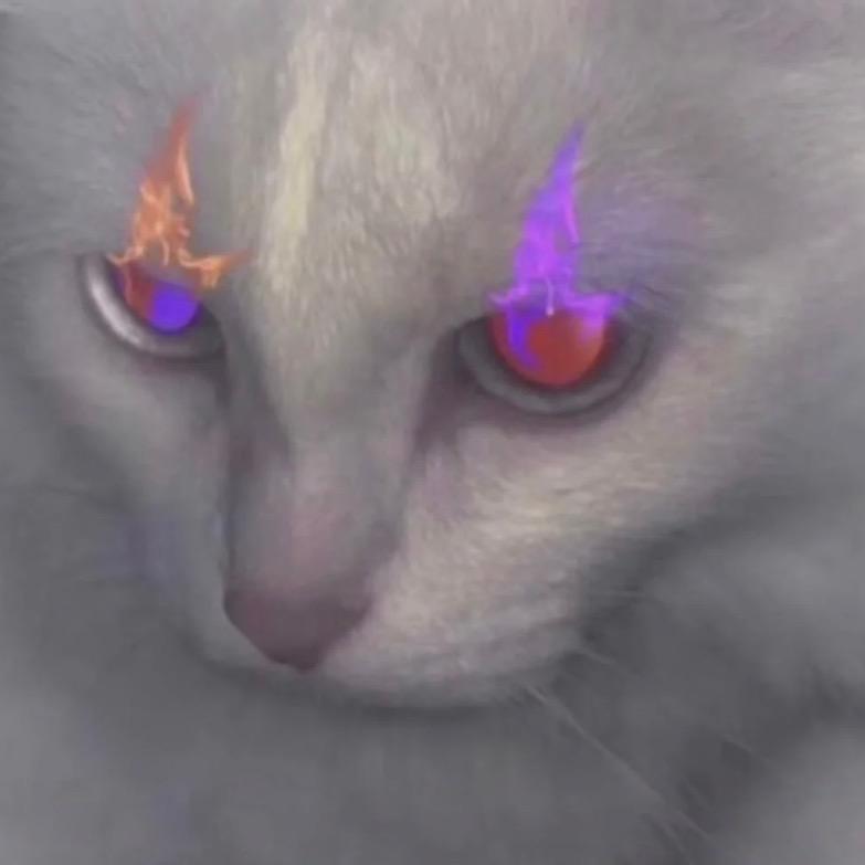 鈴蘭