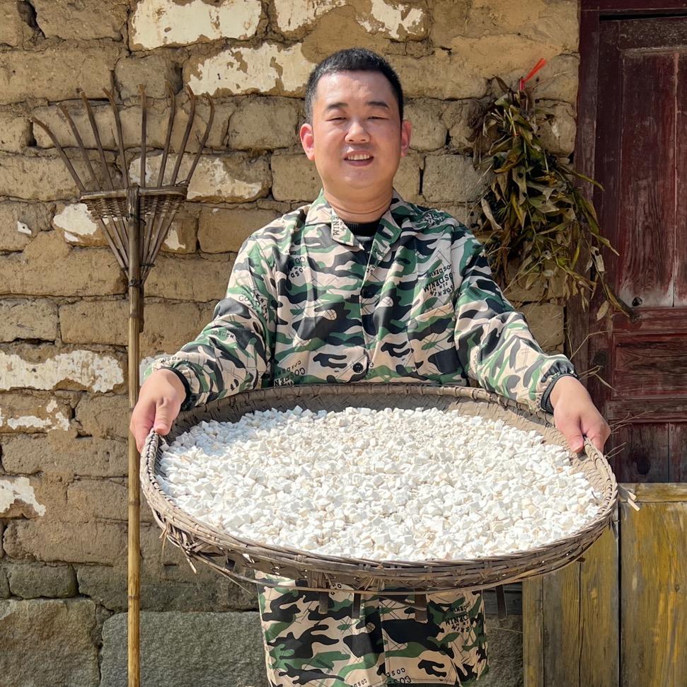 大别山茯苓