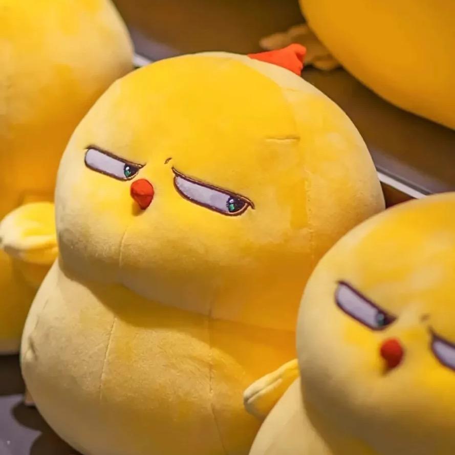 谢大星的童趣屋