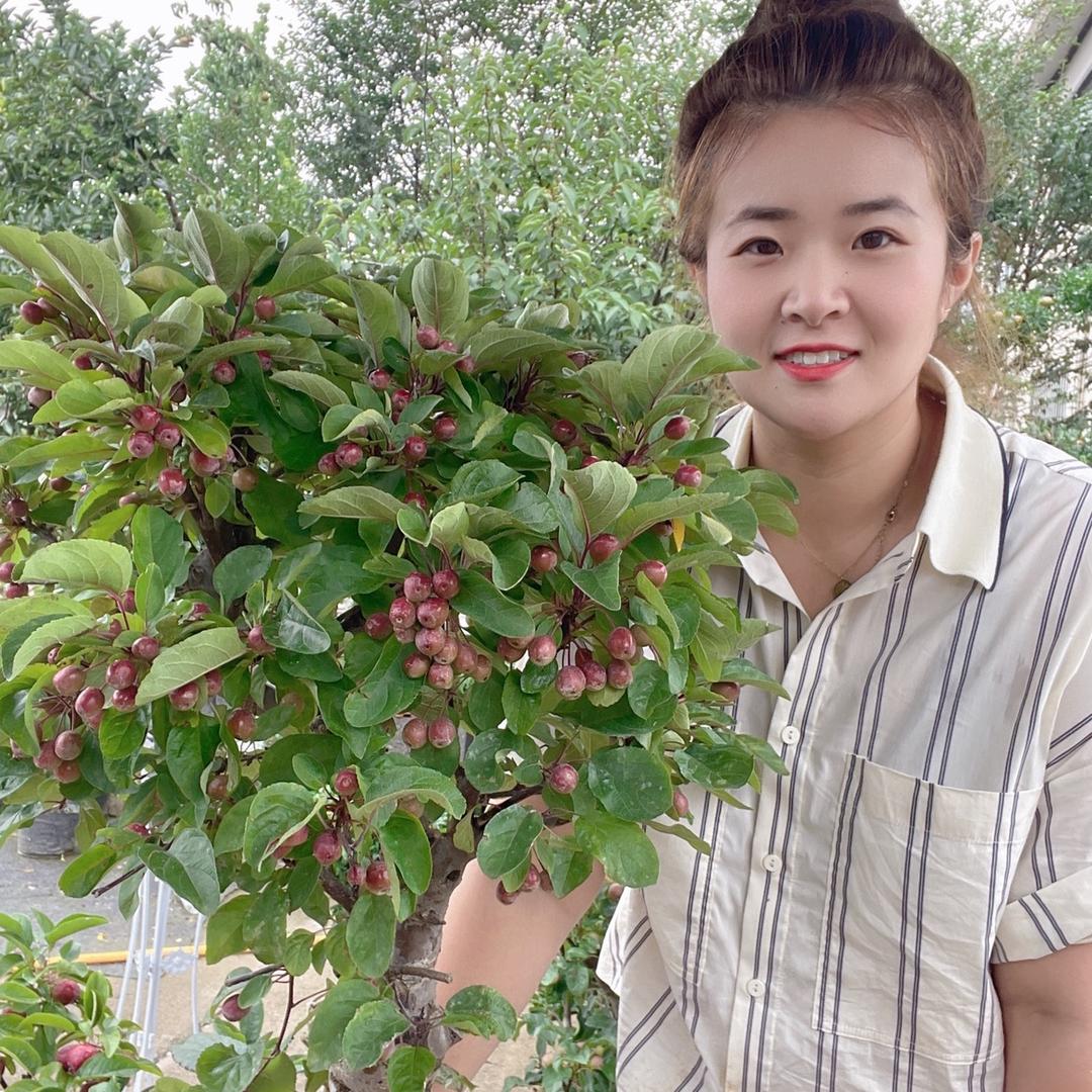宜民盆景销售园