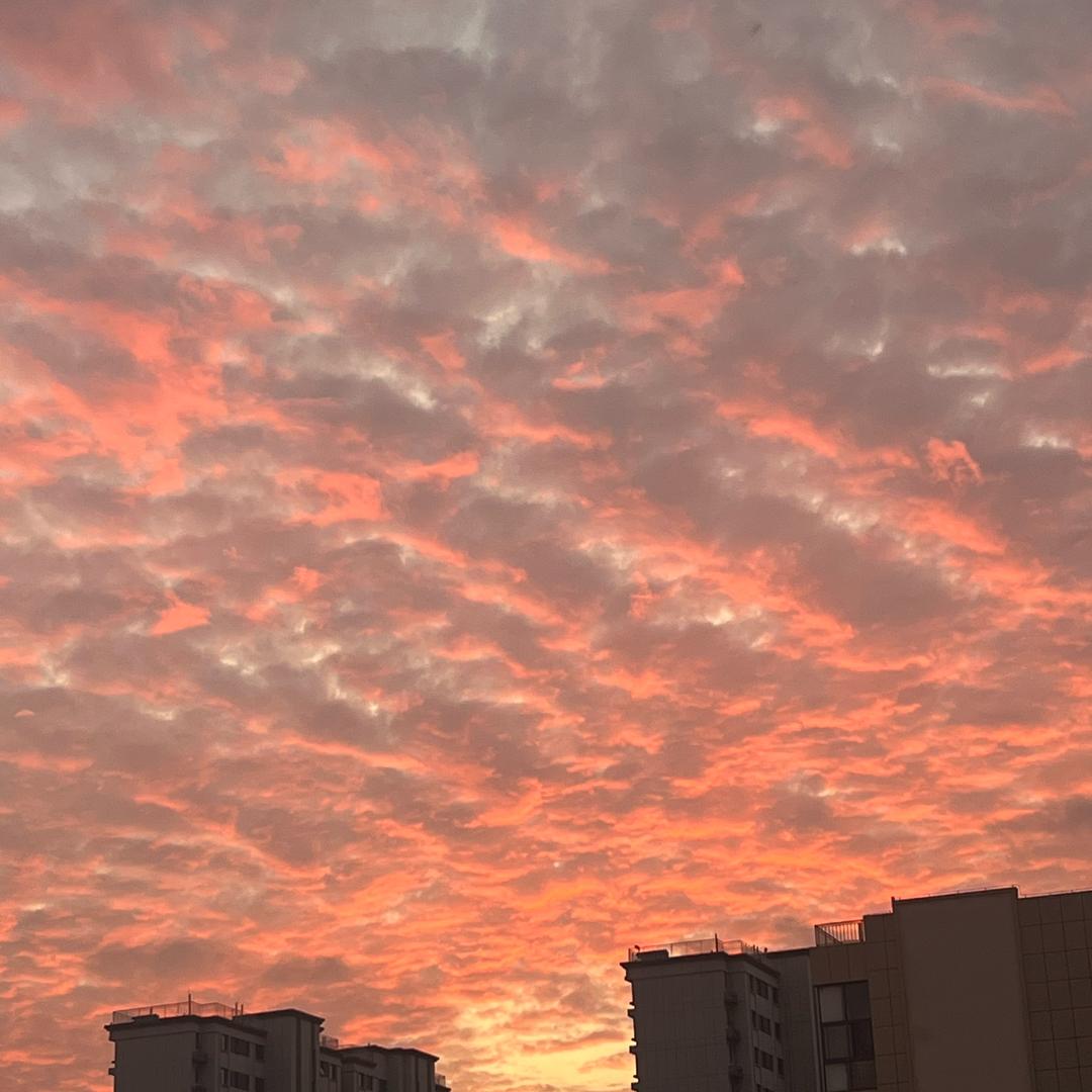 琅琊夜市鲍汁烤冷面