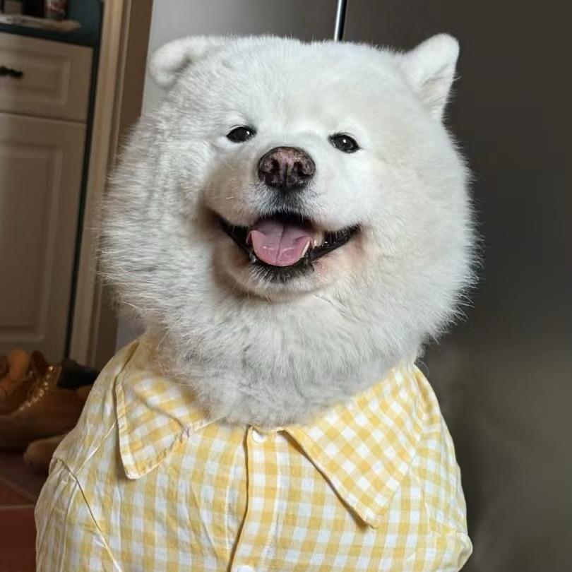 小狗博士