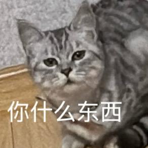 念念不忘必有回响