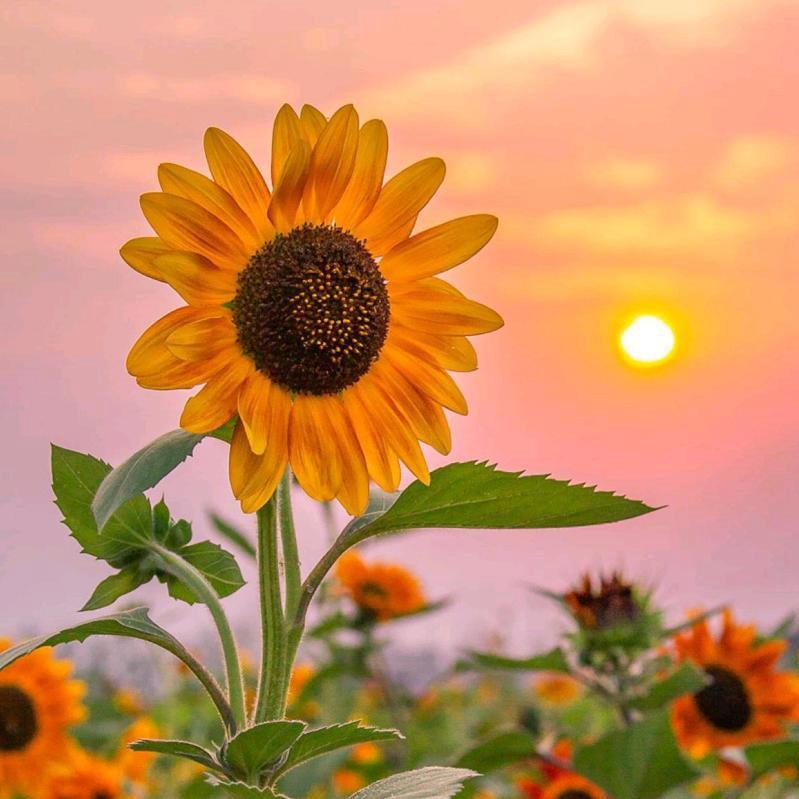 ໑ຼₒ₂5ღ᭄郭里有文张🕊꧔ꦿ᭄💞