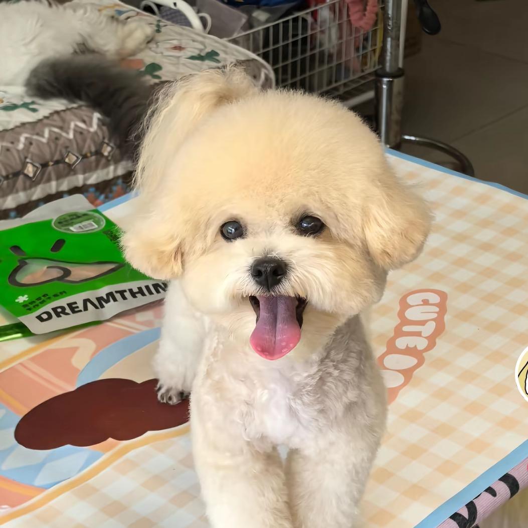 小馨儿~