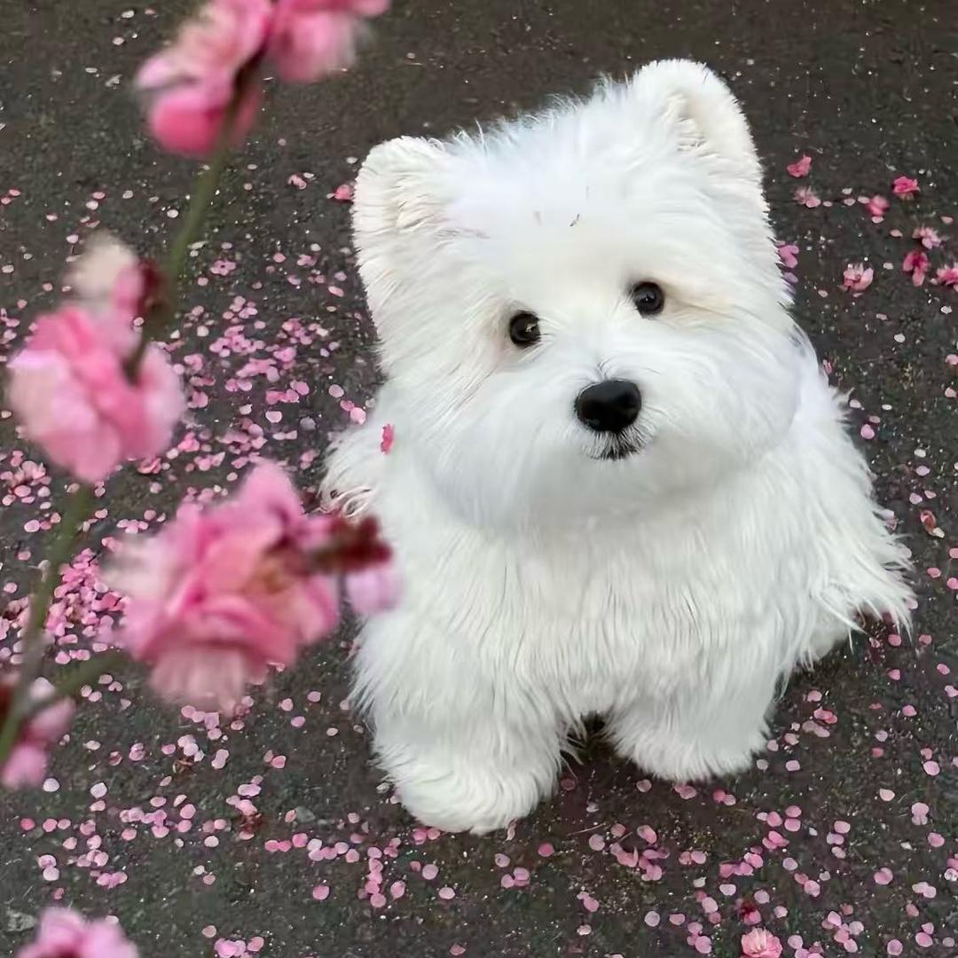 潦草OneOne