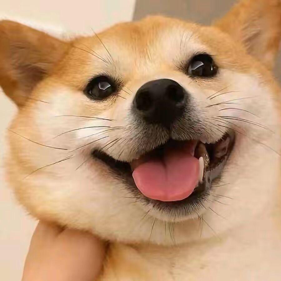 小可小说科技
