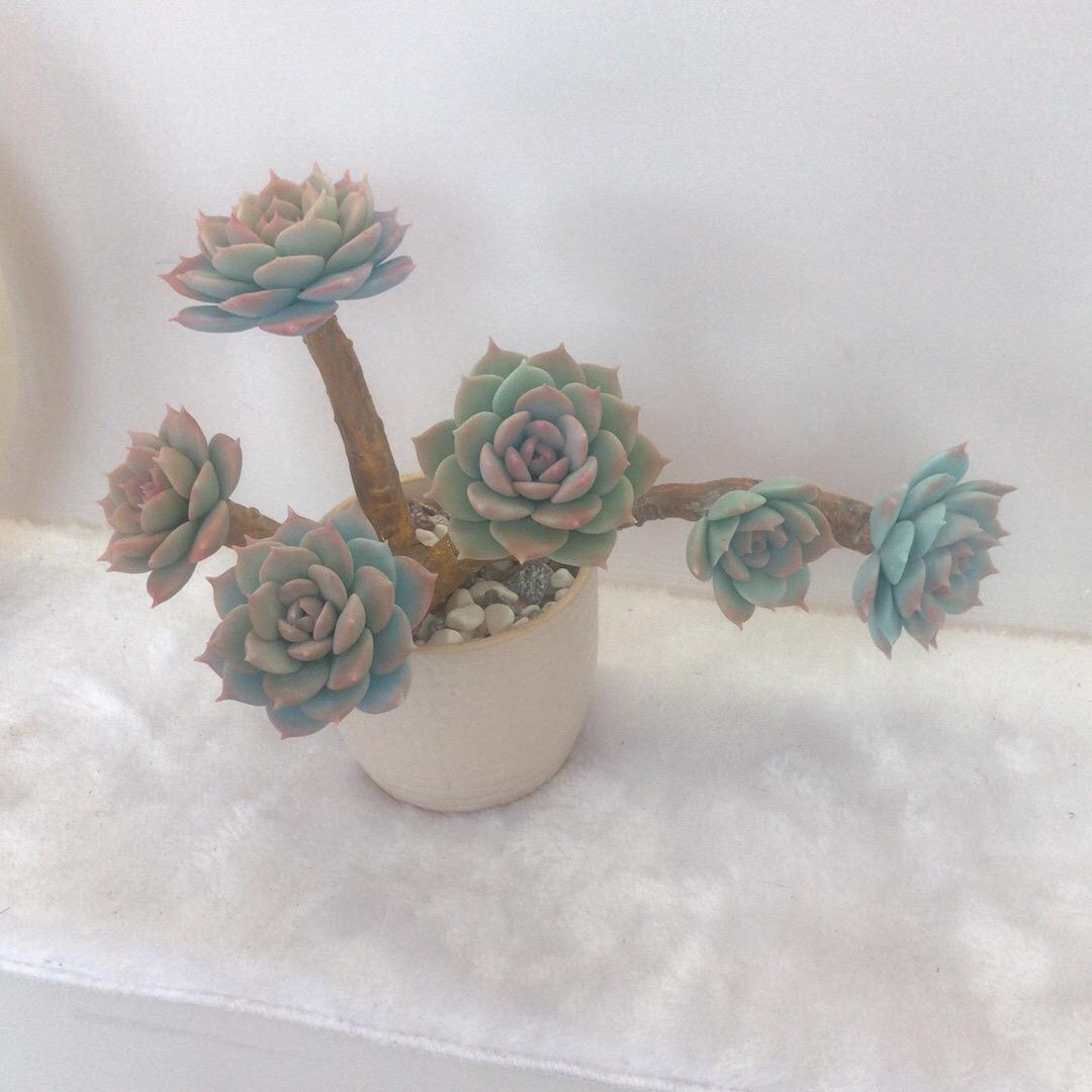 葵因美甲美睫皮肤管理