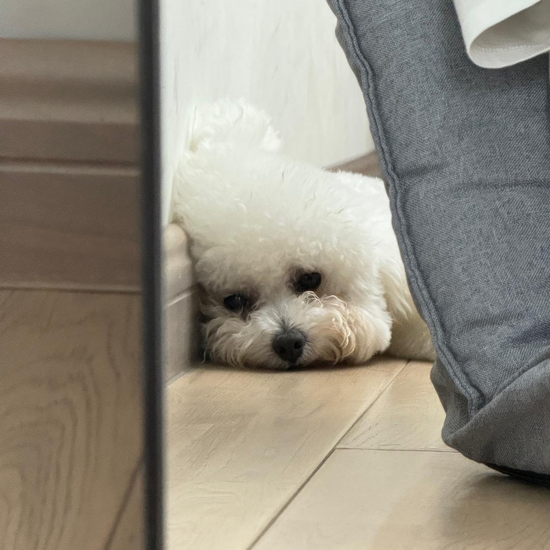 早睡早起身体好