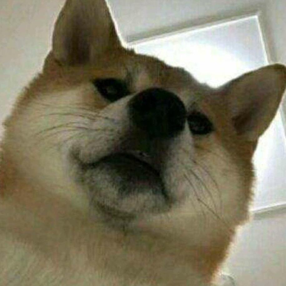 陈陈陈-_