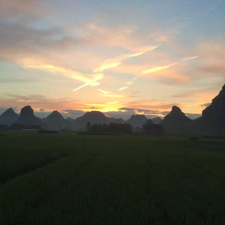 升学指导：中职、单招对口、专升本（广西）