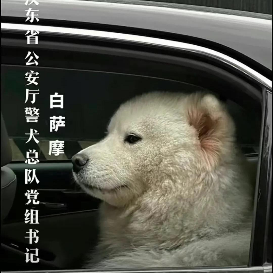 吃得饱也睡得着