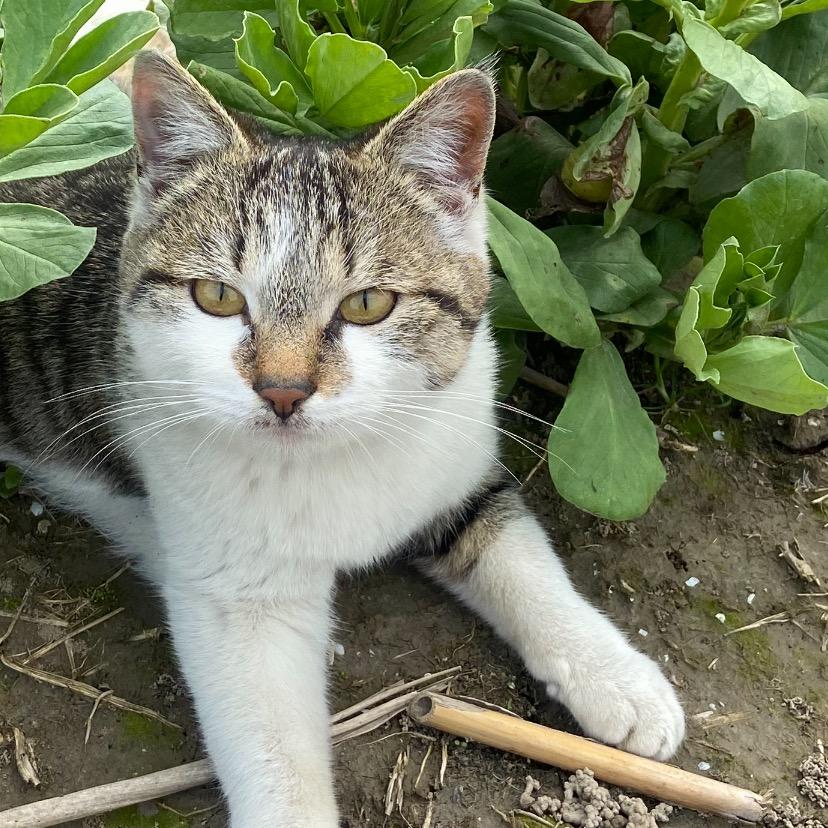 爱骑车的姜小鱼🐟🐟🐟