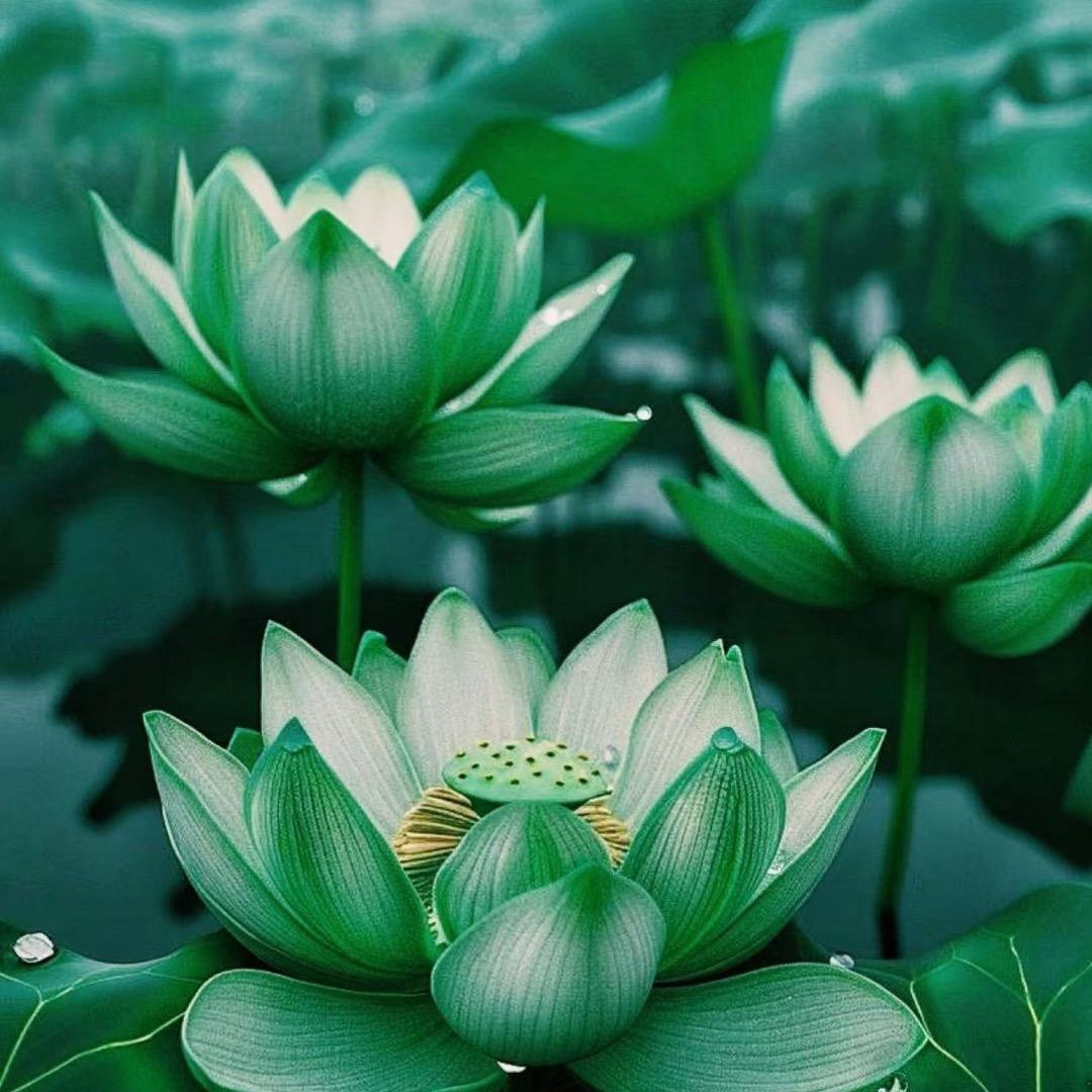 永远不会变的坚持