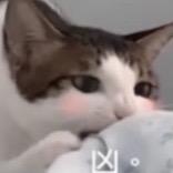 iygnod