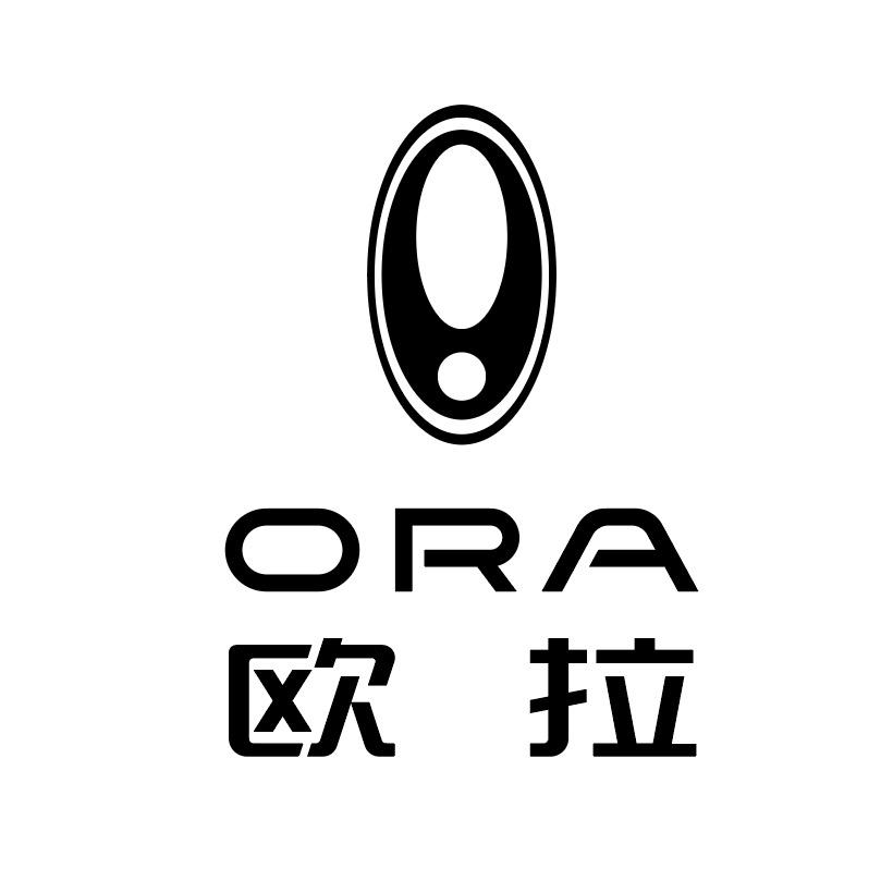 欧拉汽车佛山宠猫