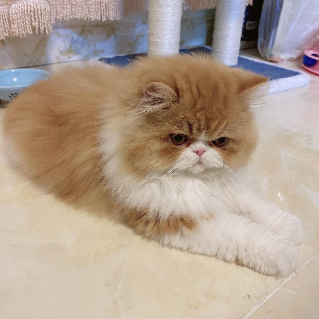 梓澜欧韩休闲服饰