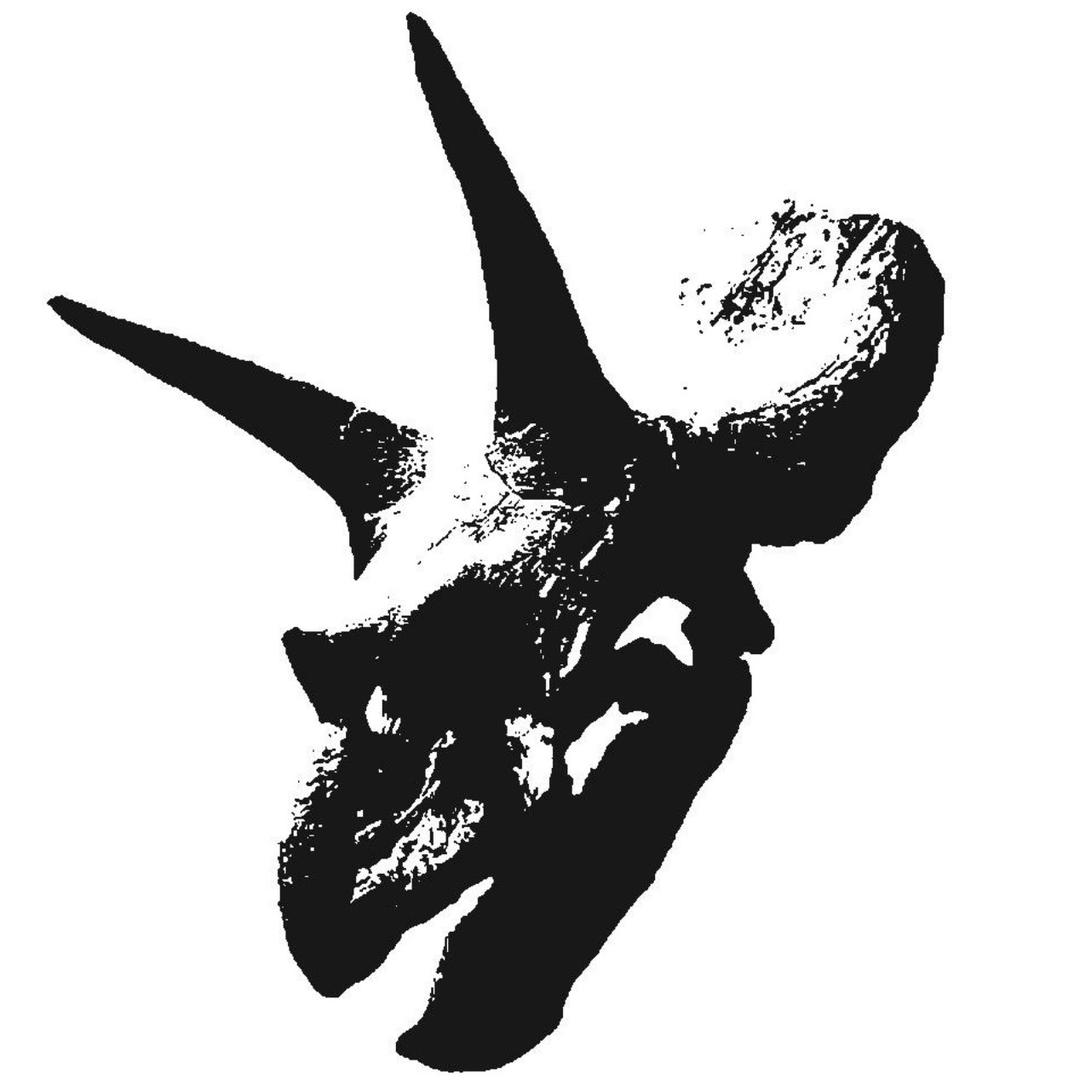 SHDEVIL大码美式