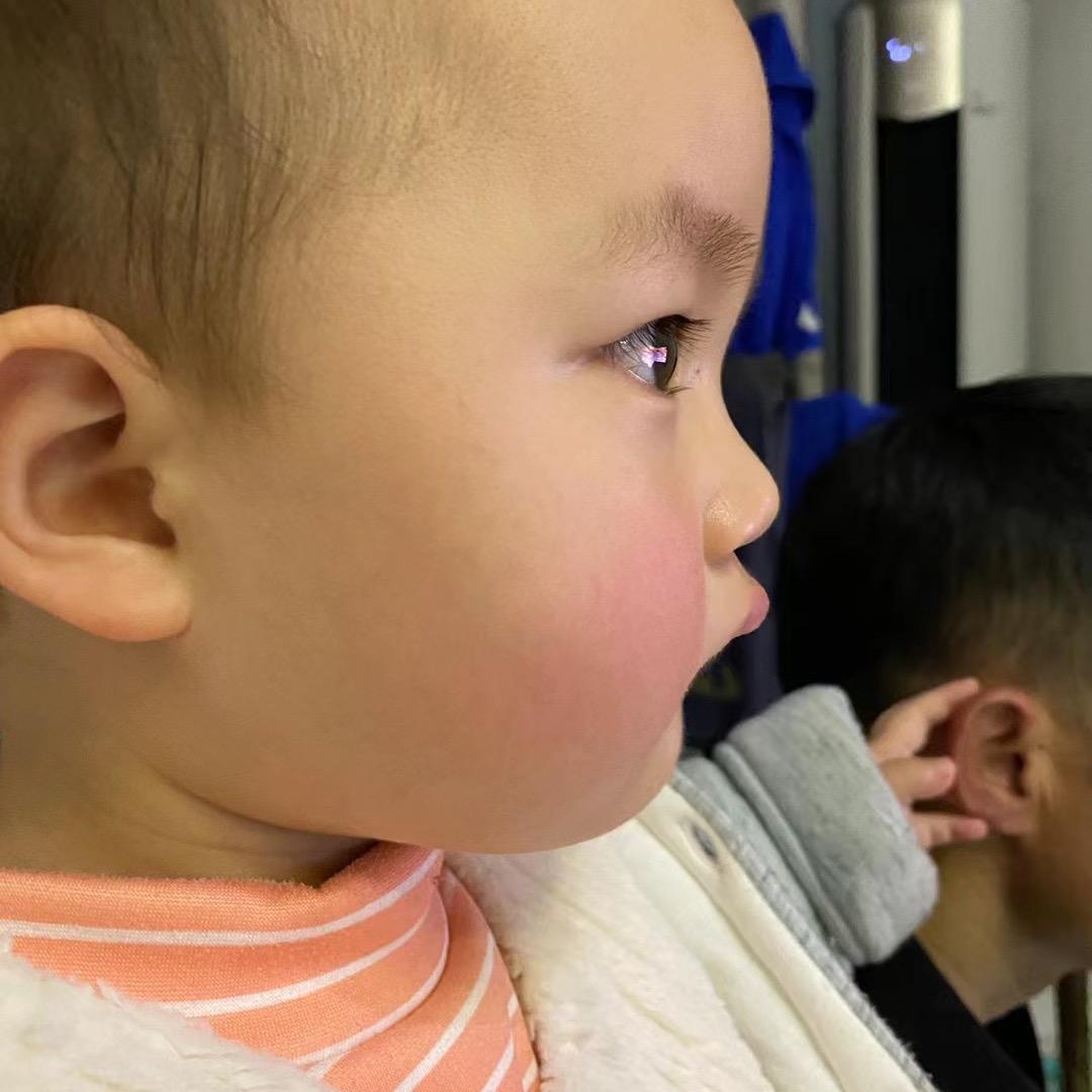 一只小绵羊（孕期）