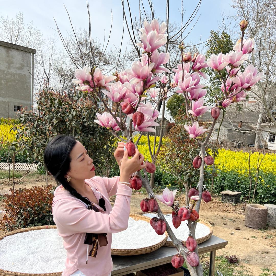 凌绘水果商行