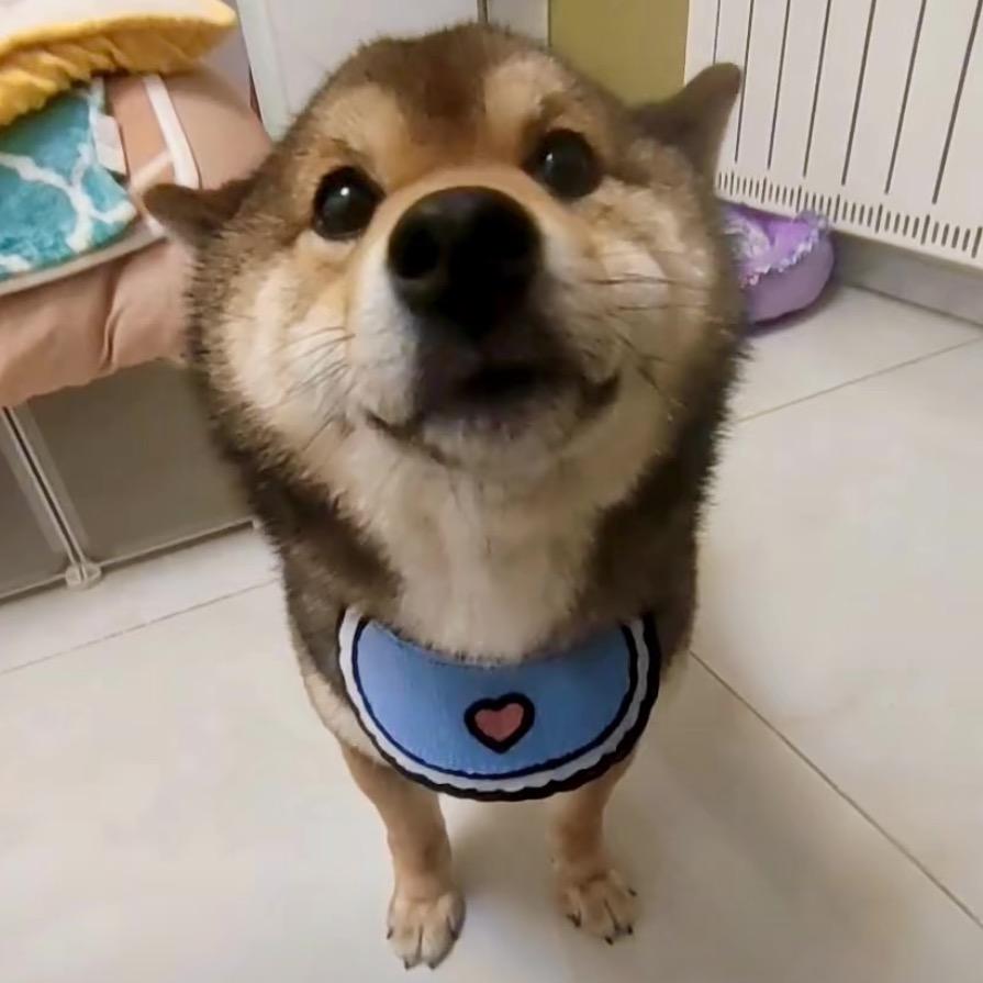杰哥不要啦