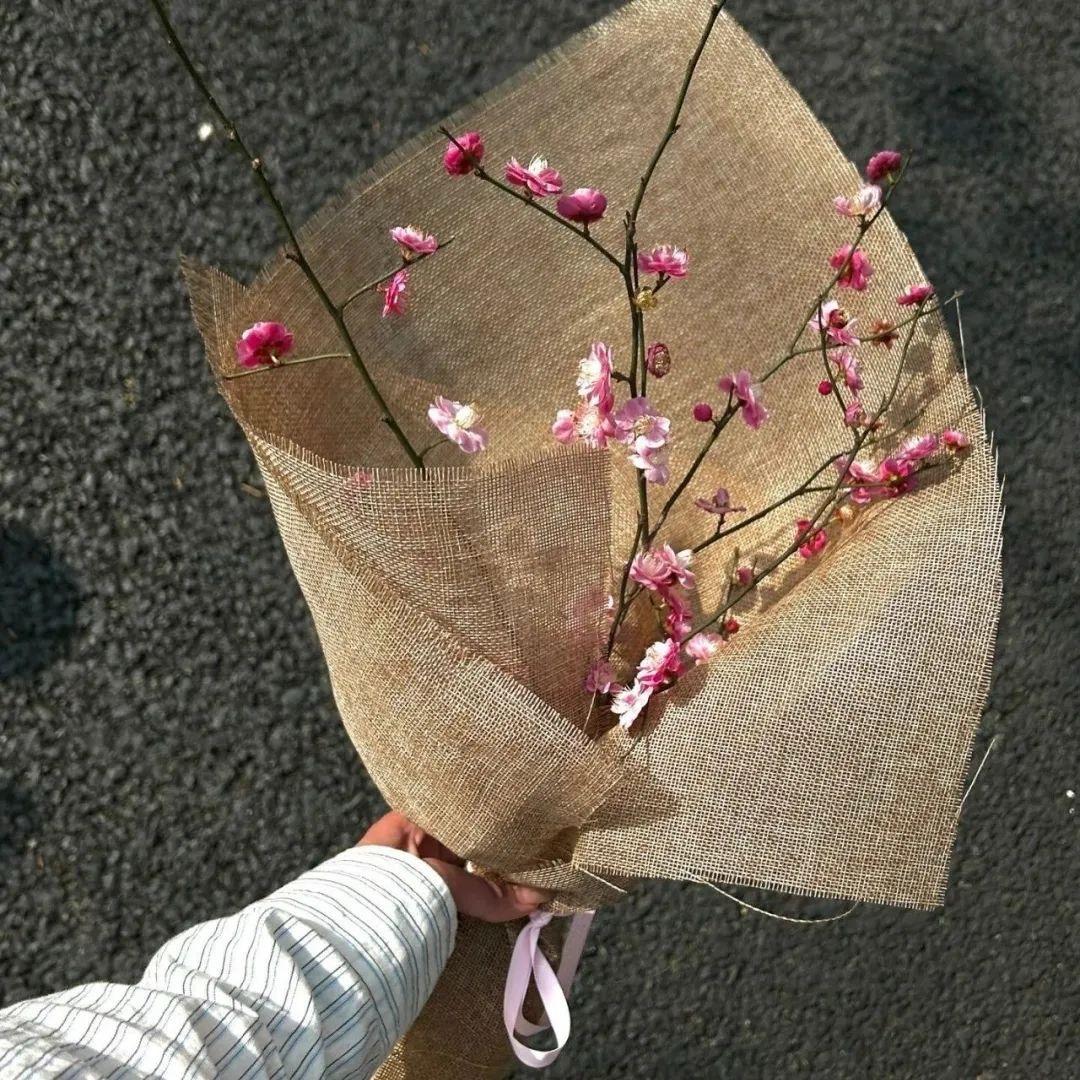 寻桃记📿
