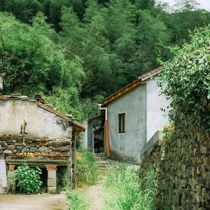 芒果日记水果基地