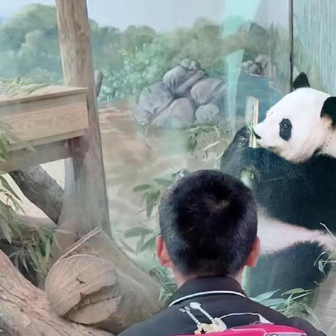 小琦祥苒传